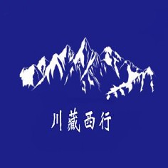 巨推传媒新媒体代运营